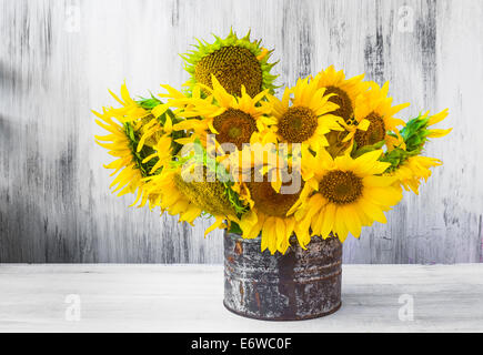 Still Life. Bouquet of sunflowers in old tin Stock Photo