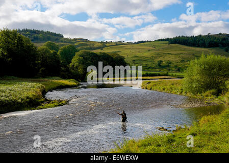 Fly fishing in the River Wharfe upstream from Bolton Abbey in the Stock Photo: 19252279 - Alamy