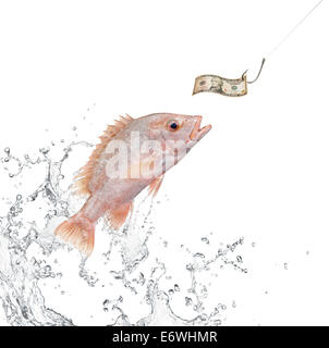 fish jumping out from water hunting for money Stock Photo