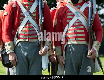 44th East Essex Regiment of foot. Infantry regiment of the British Army at a historical re-enactment. Detling, Kent, UK Stock Photo