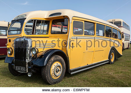 Vintage Leyland Tiger PS1 coach bus in the colours of Royal Blue Stock ...