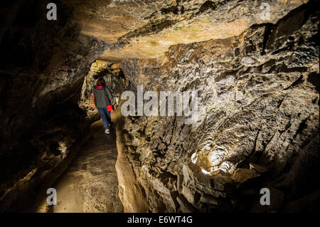 Dan-yr-Ogof cave at The National Showcaves Centre for Wales, Abercrave, Swansea. Stock Photo