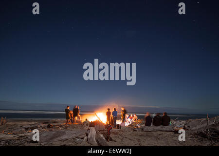 Bonfire with driftwood on the beach, group of people around a bonfire, west coast, South Island, New Zealand Stock Photo