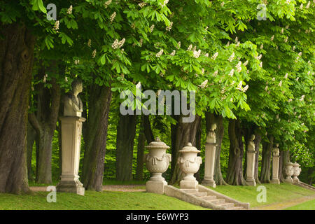 Allee of chestnut trees, Nordkirchen castle, Munsterland, North Rhine-Westphalia, Germany Stock Photo
