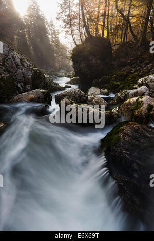 Sun rays penetrating through the morning mist over the river Savica and the rocks in the stream bed, Gorenjska, Slovenia Stock Photo