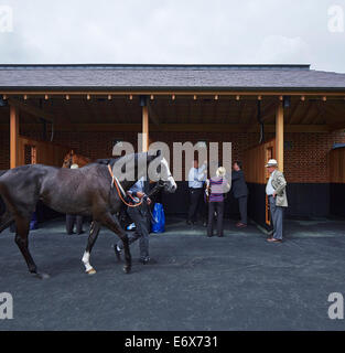 York Racecourse York United Kingdom Architect: Phelan Architects 2014 Pre-race scene with saddling boxes. Stock Photo