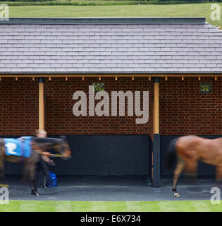 York Racecourse York United Kingdom Architect: Phelan Architects 2014 Pre-race scene with saddling boxes. Stock Photo