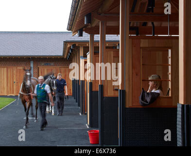 York Racecourse York United Kingdom Architect: Phelan Architects 2014 Pre-race scene with saddling boxes. Stock Photo