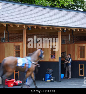 York Racecourse York United Kingdom Architect: Phelan Architects 2014 Pre-race scene with saddling boxes. Stock Photo