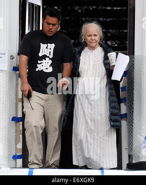 Heather Graham spotted wearing a nurse outfit for her new movie 'Petals In The Wind' filming in Pasadena Ca. The actress was joined by co stars Ellen Burstyn and Rose McIver who broke down in tears on set and was comforted by a PA between takes.  Featurin Stock Photo