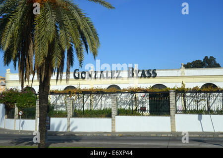 Gonzalez Byass Bodega, Jerez de la Frontera, Province of Cádiz, Andalusia, Kingdom of Spain Stock Photo