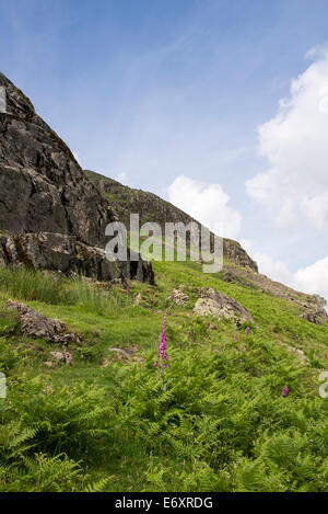 Yew Barrow, Wasdale, Lake District National Park, Cumbria, England, UK. Stock Photo