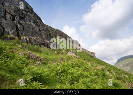 Yew Barrow, Wasdale, Lake District National Park, Cumbria, England, UK. Stock Photo