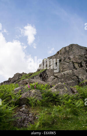 Yew Barrow, Wasdale, Lake District National Park, Cumbria, England, UK. Stock Photo