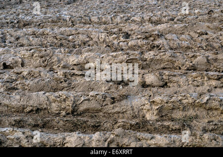 Mud, mud, glorious mud - thick glutinous mud at the Great Dorset steam Fair 2014 following heavy rain Stock Photo