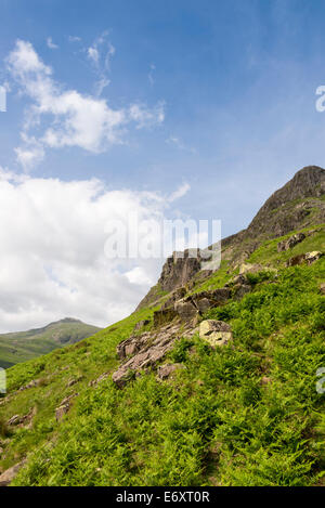 Yew Barrow, Wasdale, Lake District National Park, Cumbria, England, UK. Stock Photo