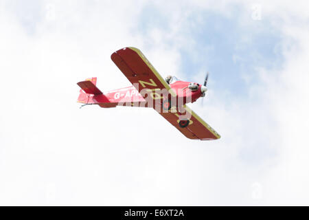 The Tiger Club Turbulent Team - Druine D31 Turbulent x 4 performing aerobatic show at the Shoreham Airshow 2014, Shoreham Airport, East Sussex, UK Stock Photo