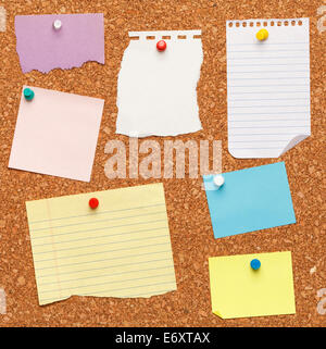 Different papers tacked on cork board. Stock Photo