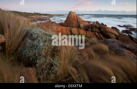 Cape Conran, granite rocks at West Cape, East Gippsland, Victoria, Australia Stock Photo