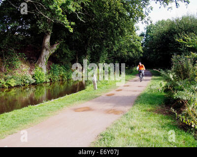 The Monmouthshire & Brecon Canal (Mon & Brec) near Brecon with cyclist on the Taff Trail & Usk Valley Walk footpath Stock Photo
