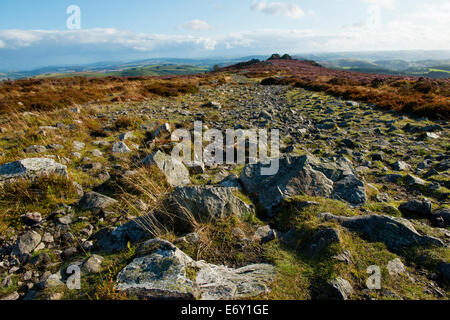 A rocky path on the slopes of The Stiperstones, Shropshire, England. Stock Photo