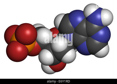 Deoxyadenosine monophosphate (dAMP) nucleotide molecule. DNA building block. Atoms are represented as spheres with conventional  Stock Photo