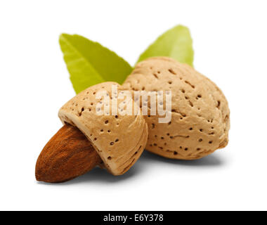 Almonds with Shells and Green Leaves Isolated on White Background. Stock Photo