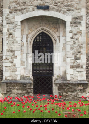 detail of the ceramic poppies exhibit  at the tower of london during heavy rain with the cradle tower  behind . Stock Photo