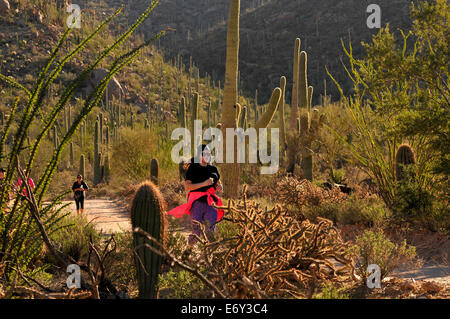 Runners and cyclists race on Bajada Loop Drive in Saguaro National Park West, Sonoran Desert, Tucson, Arizona, USA. Stock Photo