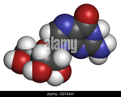 Guanosine purine nucleoside molecule. Important component of GTP, GDP, cGMP, GMP and RNA. Atoms are represented as spheres with  Stock Photo