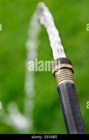 Detail of black hose squirting shooting fresh water on green grass lawn Stock Photo