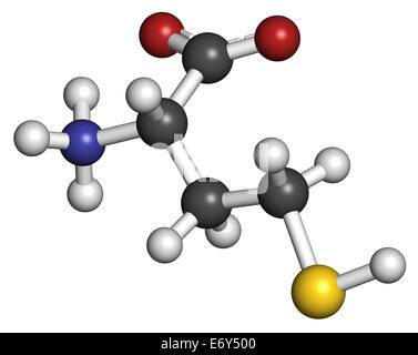 Homocysteine (Hcy) biomarker molecule. Increased levels indicate elevated risk of cardiovascular disease. Atoms are represented  Stock Photo