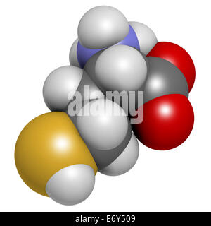 Homocysteine (Hcy) biomarker molecule. Increased levels indicate elevated risk of cardiovascular disease. Atoms are represented  Stock Photo