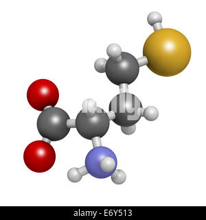 Homocysteine (Hcy) biomarker molecule. Increased levels indicate elevated risk of cardiovascular disease. Atoms are represented  Stock Photo