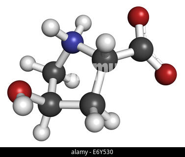 Hydroxyproline (Hyp) amino acid. Essential component of collagen. Atoms are represented as spheres with conventional color codin Stock Photo