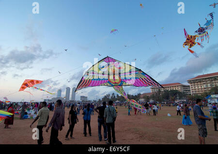 Visitors with kites in the evening on Galle Face Green, Colombo, Sri Lanka, South Asia Stock Photo