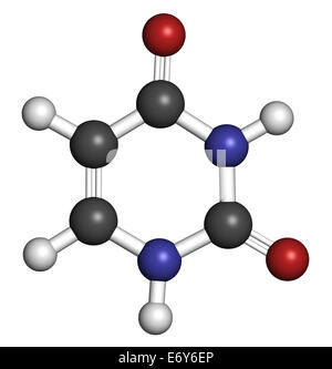 Uracil (U) nucleobase molecule. Present in ribonucleic acid (RNA). Atoms are represented as spheres with conventional color codi Stock Photo