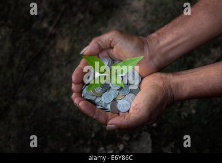 Trees grow on the coins in hand Stock Photo