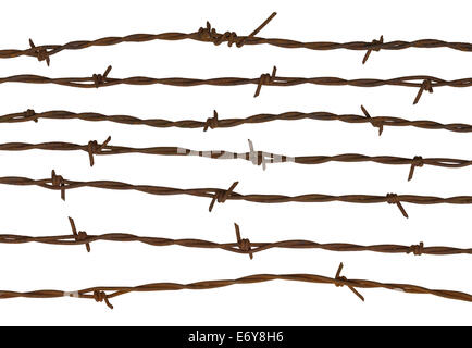 Rusty Barbed Wire Fence Isolated on White Background. Stock Photo