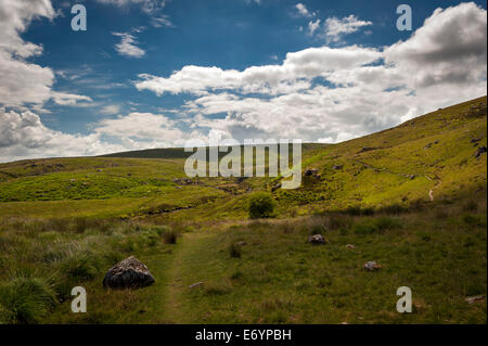 Open moorland in Dartmoor National Park, Devon, UK Stock Photo