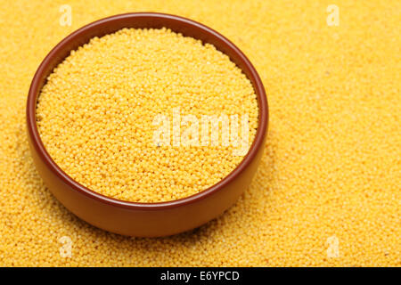 Millet in bowl on millet background. Closeup. Stock Photo