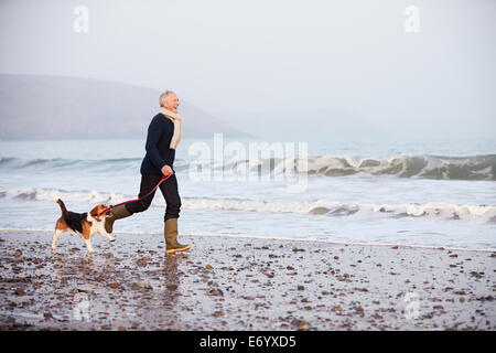 Senior Man Walking Along Winter Beach With Pet Dog Stock Photo