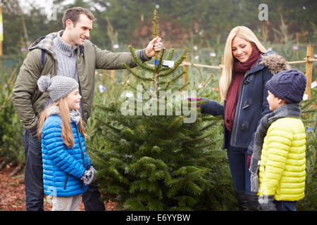 Outdoor Family Choosing Christmas Tree Together Stock Photo