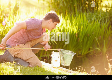 Boy Fishing In Pond With Net And Jar Stock Photo