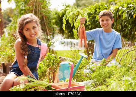 Two Children Working On Allotment Together Stock Photo