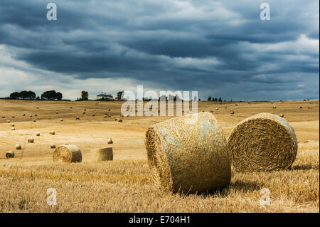 Storm clouds building over recently harvested straw bales.