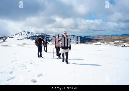 Four men hiking in snow, Bucegi Mountains, Transylvania, Romania Stock Photo