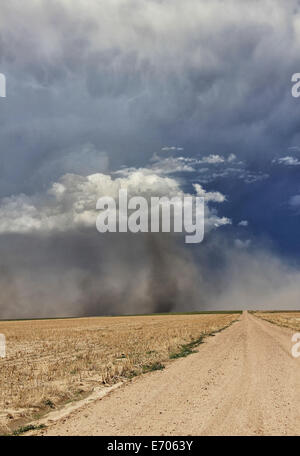 Twin gustnadoes rotate around supercell's base in midst of dust storm from thunderstorm behind it, Sheridan Lake, Colorado, USA Stock Photo