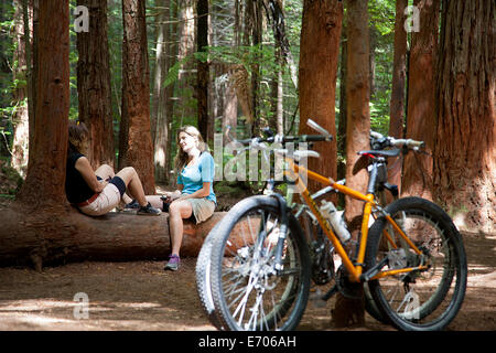 Two women mountain bikers chatting on tree trunk in forest Stock Photo