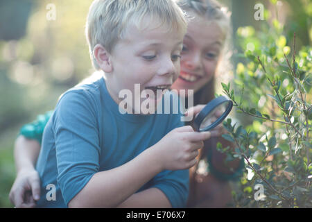 Brother and sister discovering plants with magnifying glass in garden Stock Photo